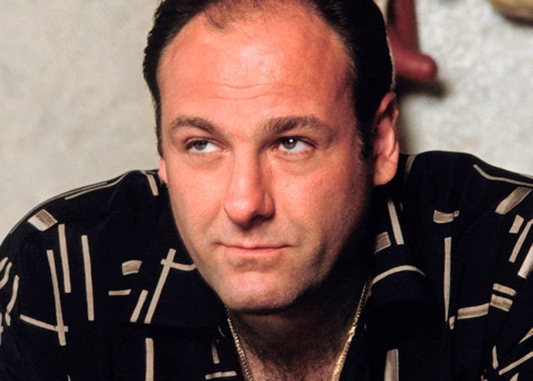Tony Soprano Series